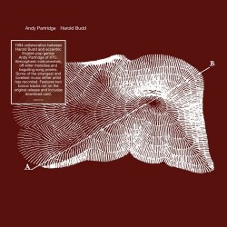 Partridge Andy & Harold Budd ‎– Through The Hill|2013    All Saints ‎– WAST017LP
