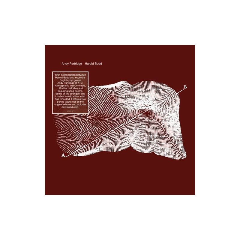 Partridge Andy & Harold Budd – Through The Hill|2013 All Saints – WAST017LP Partridge Andy & Harold Budd – Through The Hill|2013 All Saints – WAST017LP