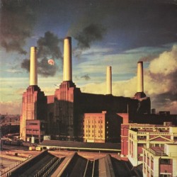 Pink Floyd ‎– Animals|1977       CBS 81861