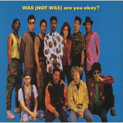 Was (Not Was) ‎– Are You Okay? |1990     Fontana 846 351-1