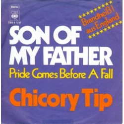 Chicory Tip ‎– Son Of My Father|1972      CBS S 7737-Single