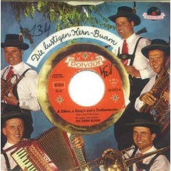 Kern Buam ‎Die– A Zither, A Geig'n Und A Zieharmonie|1962    Polydor ‎– 24 810-Single