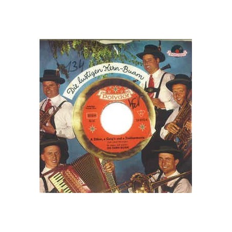 Kern Buam ‎Die– A Zither, A Geig'n Und A Zieharmonie|1962    Polydor ‎– 24 810-Single