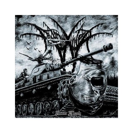 Atomwinter ‎– Iron Flesh|2016    Black Skull Records ‎– BS 008LP