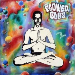 Flower Buds ‎– Waiting For Nirvana|1990  Bonzen Records ‎– BONZ 005