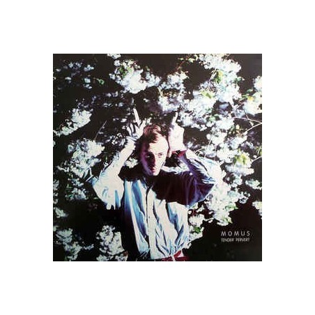Momus ‎– Tender Pervert|1988      Creation Records ‎– RTD-CRE 15-89