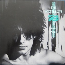 Waterboys The‎– A Pagan Place|1984       Island Records ‎– 206 353-320