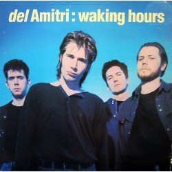 Del Amitri ‎– Waking Hours|1989      A&M Records 397010-1
