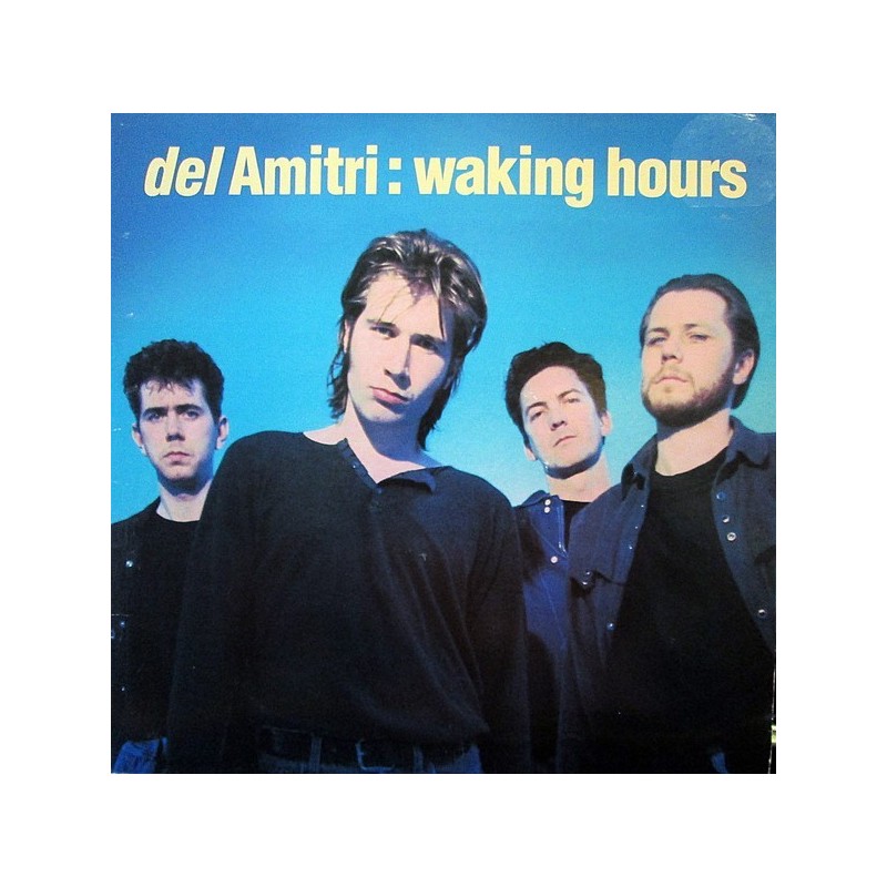 Del Amitri ‎– Waking Hours|1989      A&M Records 397010-1