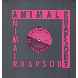 Raincoats The ‎– Animal Rhapsody|1983   Rough Trade ‎– RTT 153-Maxi-Single