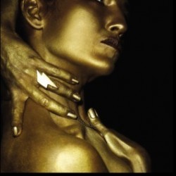 Joan As Police Woman ‎– The Classic|2014      Play It Again Sam ‎– PIASR685DLP