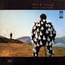 Pink Floyd ‎– Delicate Sound Of Thunder|1989    Мелодия ‎– A60 00543 007-Russ.Press