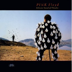 Pink Floyd ‎– Delicate Sound Of Thunder|1989      EMI ‎– SLPXL 37256-57