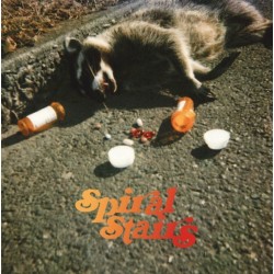 Spiral Stairs ‎– The Real Feel|2009    Domino ‎– WIGLP251