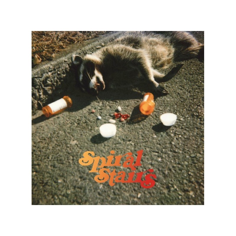 Spiral Stairs ‎– The Real Feel|2009    Domino ‎– WIGLP251