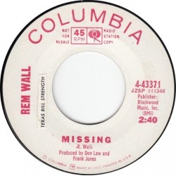 Wall ‎Rem – Missing|Columbia ‎– 4-43371-Promo-Single