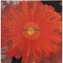 Shelleyan Orphan ‎– Century Flower|1989      Rough Trade ‎– RTD 113