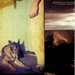 Bodies of Water ‎– A certain Feeling|2008    Secretly Canadian ‎– SC177