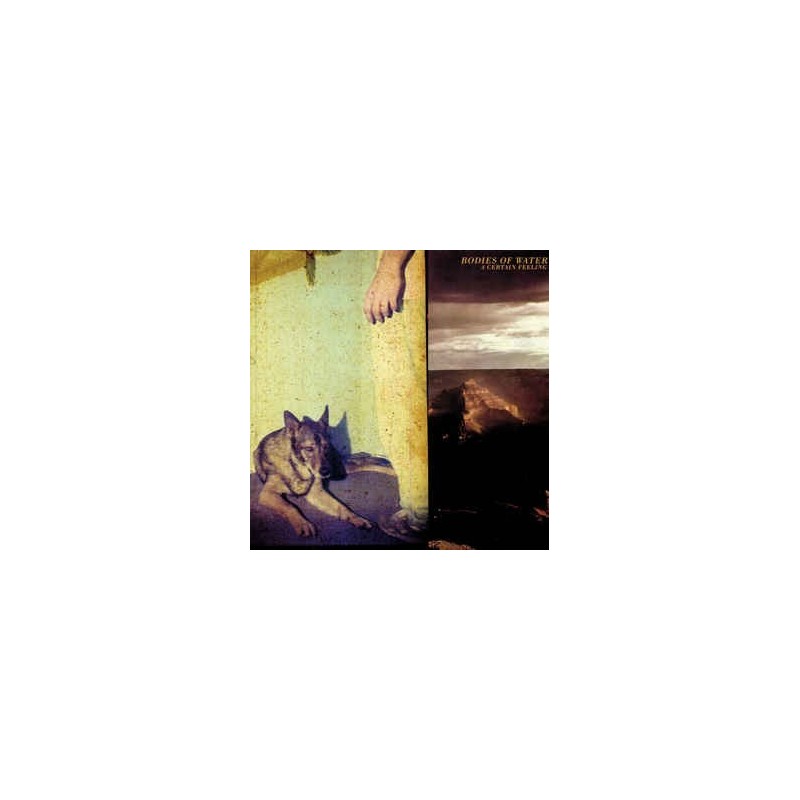 Bodies of Water ‎– A certain Feeling|2008    Secretly Canadian ‎– SC177