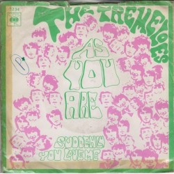 Tremeloes ‎The – As You Are|1968      CBS ‎– 3234-Single