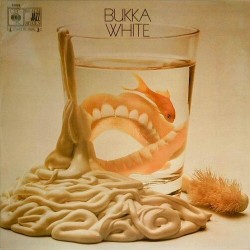 Bukka White ‎– Bukka White|1969     CBS ‎– 52629