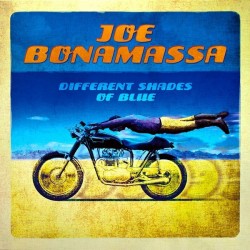 Bonamassa Joe ‎– Different Shades Of Blue|2014     Provogue ‎– PRD 7441 1