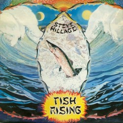 Hillage ‎Steve – Fish Rising|1975     Virgin ‎– V 2031