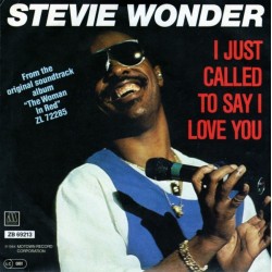 Wonder ‎Stevie – I Just Called To Say I Love You|1984      Motown ‎– ZB 69213-Single