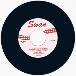 Dicky Doo and the...