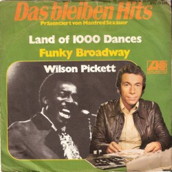 Pickett Wilson ‎– Land Of...