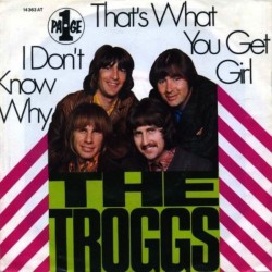 Troggs The ‎– That's What...