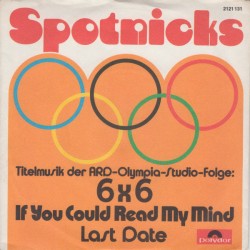 Spotnicks ‎– If You Could...