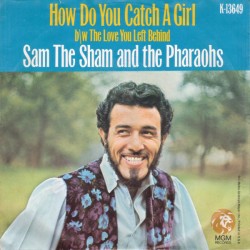 Sam the Sham and The...