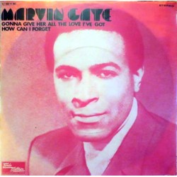 Gaye ‎Marvin – Gonna Give...