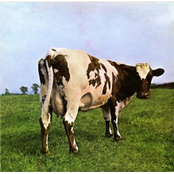 Pink Floyd ‎– Atom Heart...