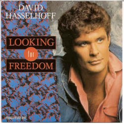 Hasselhoff ‎David – Looking...