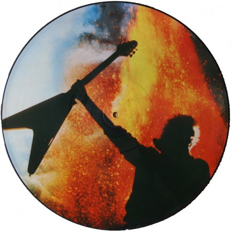 Schenker Michael Group ‎ The – Assault Attack|1982    Chrysalis ‎– PCHR 1393-Picture Vinyl
