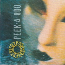 Siouxsie And The Banshees...