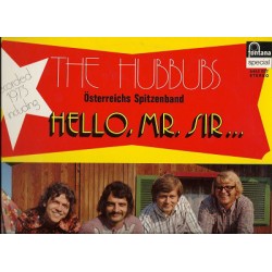 Hubbubs The ‎– Hello! Mr....