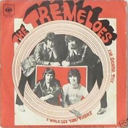 Tremeloes ‎The – I'm Gonna...