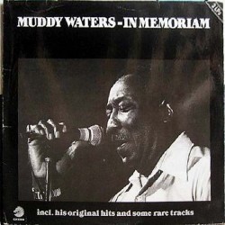 Waters ‎Muddy – In...