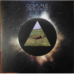 Gov't Mule ‎– Dark Side Of...