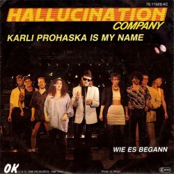 Hallucination Company ‎–...