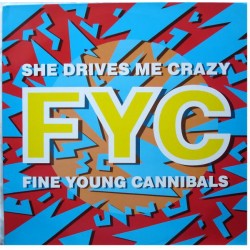 Fine Young Cannibals ‎– She...