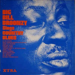 Broonzy Big Bill ‎– Sings...