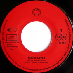 Just For Fun – Never Loved...