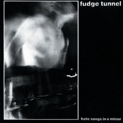 Fudge Tunnel ‎– Hate Songs...