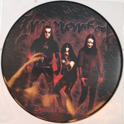 Immortal ‎– Damned In...