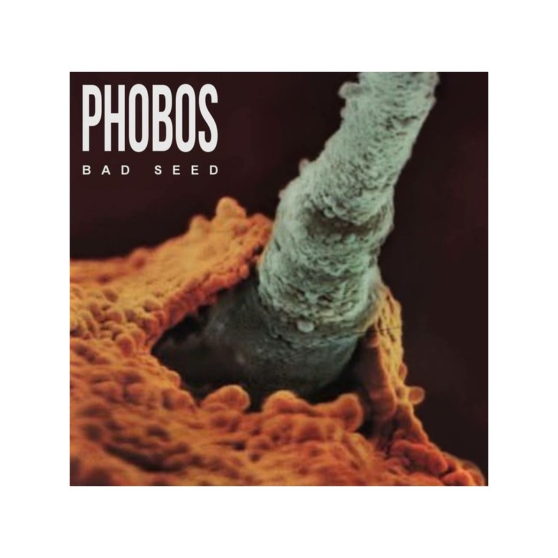 Phobos ‎– Bad Seed &8211 |2014   Noisathry Records ‎– NR000