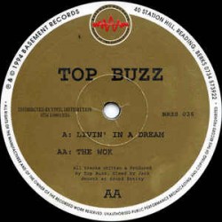 Top Buzz ‎– Livin' in a...